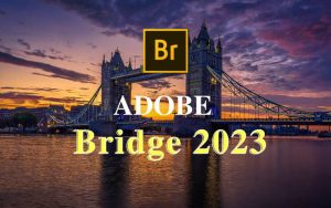 Download Adobe Bridge CC 2020 Full
