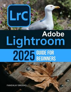 Adobe Lightroom Classic CC 2019 – Download – Hướng dẫn cài đặt nhanh nhất
