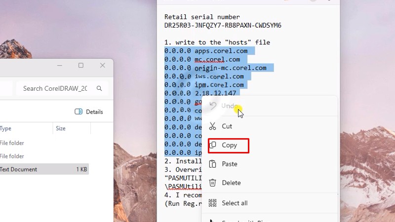 Copy như hình