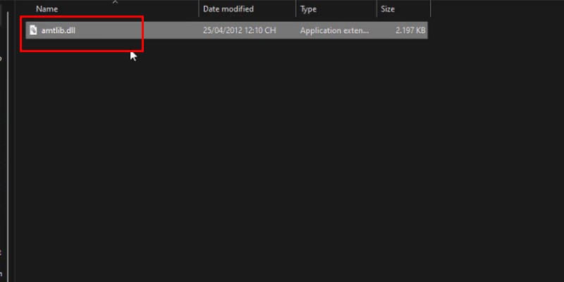 coppy file amtlib như hình