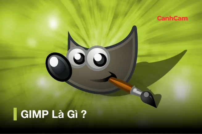 GIMP là gì? Hướng dẫn tải và cài đặt phần mền chỉnh sửa ảnh GIMP miễn phí